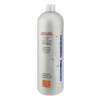 C002 ReQual Technique Prof-Inn Shampoo 1000 ml